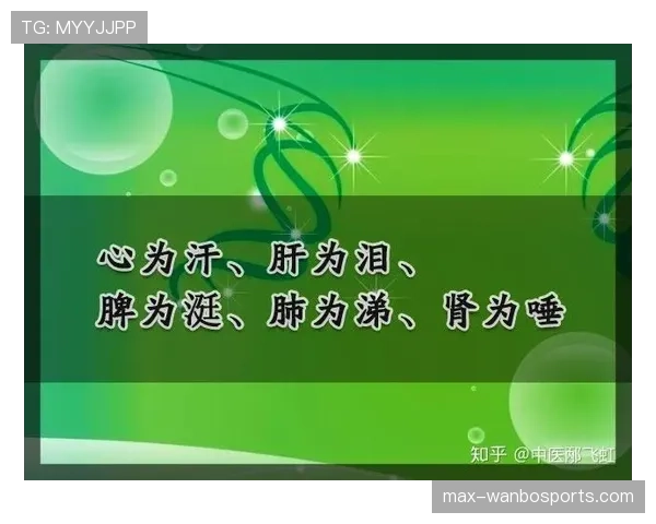深入解析身体接触判罚的判定标准与实战应用