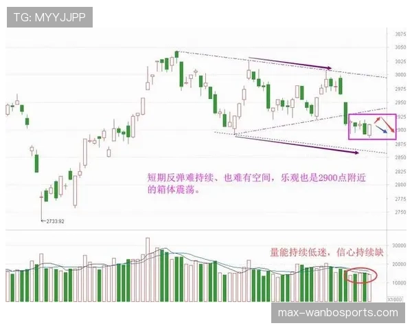 特里与鲁伊斯在防守逼抢下形成结构分化与区域偏置趋势